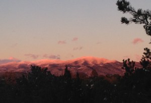 Purple Mountains Majesty